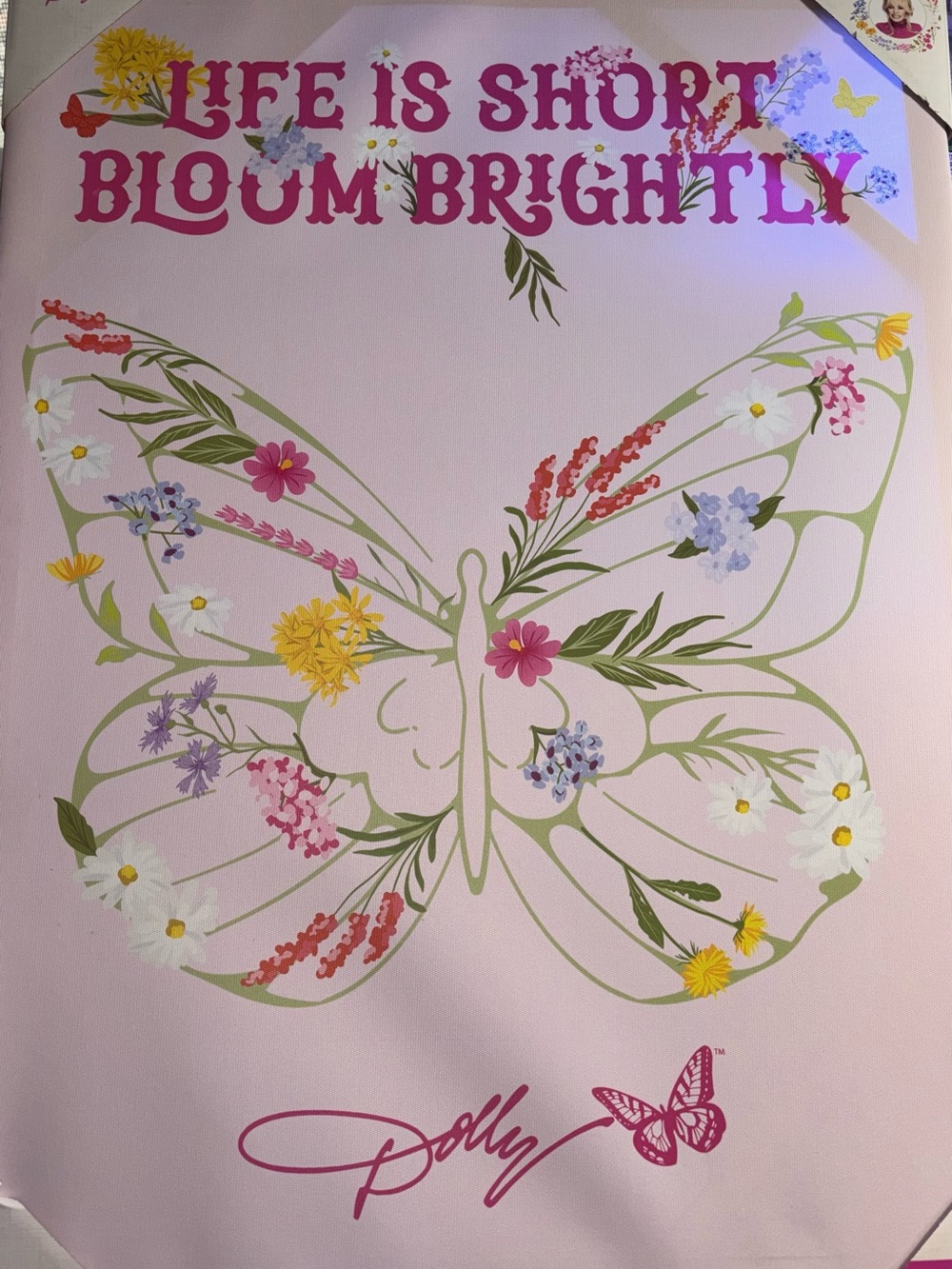 Dolly Butterfly Floral Wall Art - "Life Is Short Bloom Brightly" in Pink
